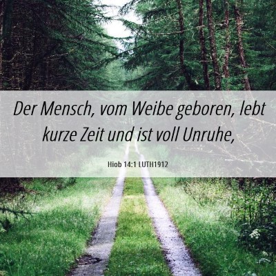 Picture 06 - Hiob 14:1 LUTH1912 - Der Mensch, vom Weibe geboren, lebt kurze Zeit - Bible Verse Picture