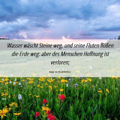 Picture 06 - Hiob 14:19 LUTH1912 - Wasser wäscht Steine weg, und seine Fluten - Bible Verse Picture