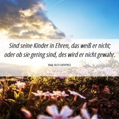 Picture 06 - Hiob 14:21 LUTH1912 - Sind seine Kinder in Ehren, das weiß er nicht; - Bible Verse Picture