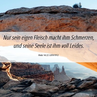 Picture 06 - Hiob 14:22 LUTH1912 - Nur sein eigen Fleisch macht ihm Schmerzen, und - Bible Verse Picture