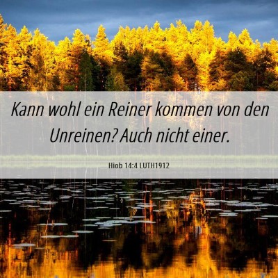 Picture 06 - Hiob 14:4 LUTH1912 - Kann wohl ein Reiner kommen von den Unreinen? - Bible Verse Picture