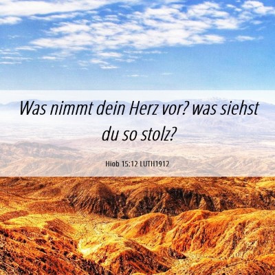 Picture 06 - Hiob 15:12 LUTH1912 - Was nimmt dein Herz vor? was siehst du so - Bible Verse Picture