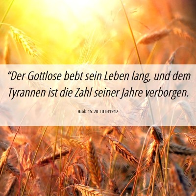 Picture 06 - Hiob 15:20 LUTH1912 - “Der Gottlose bebt sein Leben lang, und dem - Bible Verse Picture