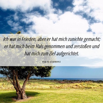 Picture 06 - Hiob 16:12 LUTH1912 - Ich war in Frieden, aber er hat mich zunichte - Bible Verse Picture