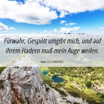 Picture 06 - Hiob 17:2 LUTH1912 - Fürwahr, Gespött umgibt mich, und auf ihrem - Bible Verse Picture