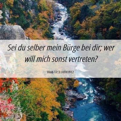 Picture 06 - Hiob 17:3 LUTH1912 - Sei du selber mein Bürge bei dir; wer will mich - Bible Verse Picture