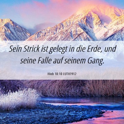 Picture 06 - Hiob 18:10 LUTH1912 - Sein Strick ist gelegt in die Erde, und seine - Bible Verse Picture