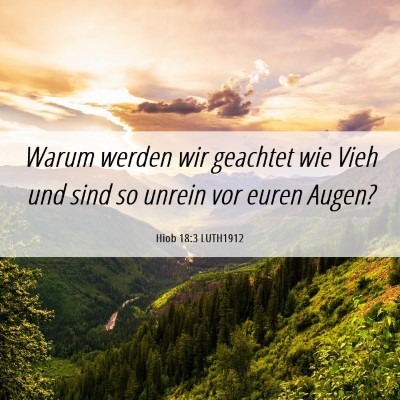 Picture 06 - Hiob 18:3 LUTH1912 - Warum werden wir geachtet wie Vieh und sind so - Bible Verse Picture