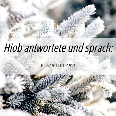 Picture 06 - Hiob 19:1 LUTH1912 - Hiob antwortete und - Bible Verse Picture
