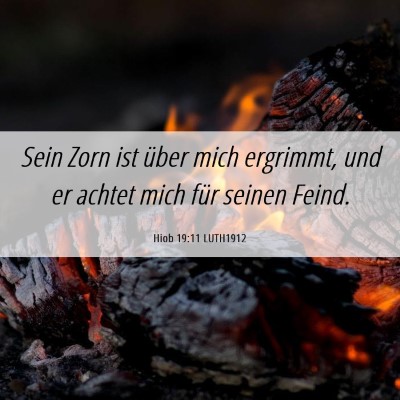 Picture 06 - Hiob 19:11 LUTH1912 - Sein Zorn ist über mich ergrimmt, und er achtet - Bible Verse Picture