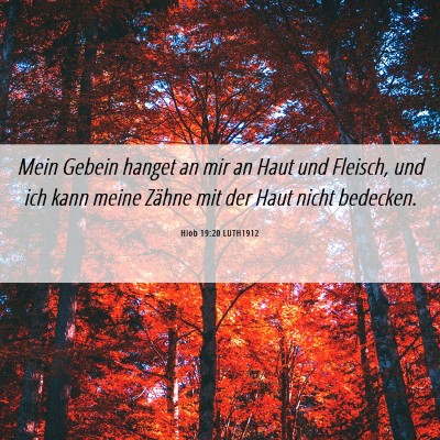 Picture 06 - Hiob 19:20 LUTH1912 - Mein Gebein hanget an mir an Haut und Fleisch, - Bible Verse Picture