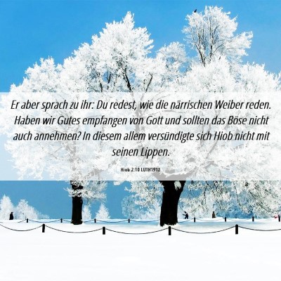 Picture 06 - Hiob 2:10 LUTH1912 - Er aber sprach zu ihr: Du redest, wie die - Bible Verse Picture