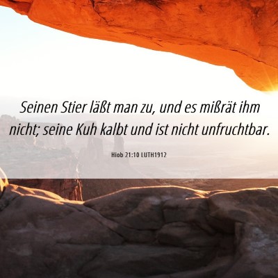 Picture 06 - Hiob 21:10 LUTH1912 - Seinen Stier läßt man zu, und es mißrät ihm - Bible Verse Picture