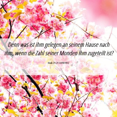 Picture 06 - Hiob 21:21 LUTH1912 - Denn was ist ihm gelegen an seinem Hause nach - Bible Verse Picture