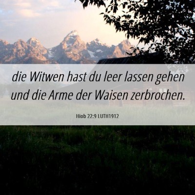 Picture 06 - Hiob 22:9 LUTH1912 - die Witwen hast du leer lassen gehen und die Arme - Bible Verse Picture
