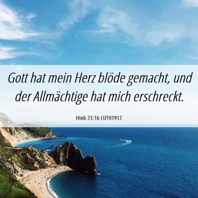 Picture 06 - Hiob 23:16 LUTH1912 - Gott hat mein Herz blöde gemacht, und der - Bible Verse Picture