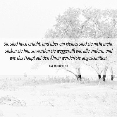 Picture 06 - Hiob 24:24 LUTH1912 - Sie sind hoch erhöht, und über ein kleines sind - Bible Verse Picture