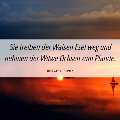 Picture 06 - Hiob 24:3 LUTH1912 - Sie treiben der Waisen Esel weg und nehmen der - Bible Verse Picture