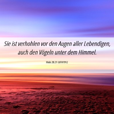 Picture 06 - Hiob 28:21 LUTH1912 - Sie ist verhohlen vor den Augen aller Lebendigen, - Bible Verse Picture