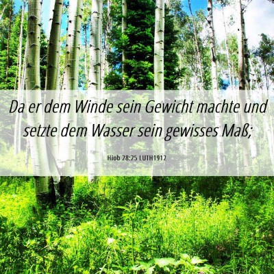 Picture 06 - Hiob 28:25 LUTH1912 - Da er dem Winde sein Gewicht machte und setzte - Bible Verse Picture