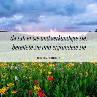 Picture 06 - Hiob 28:27 LUTH1912 - da sah er sie und verkündigte sie, bereitete sie - Bible Verse Picture