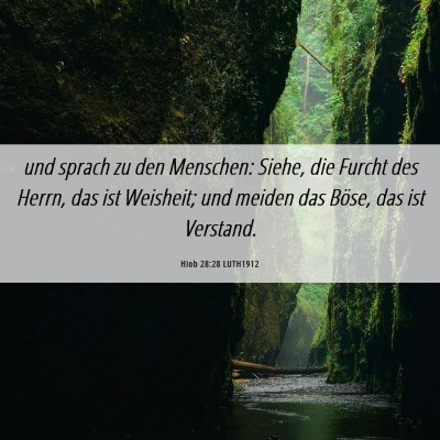 Picture 06 - Hiob 28:28 LUTH1912 - und sprach zu den Menschen: Siehe, die Furcht des - Bible Verse Picture