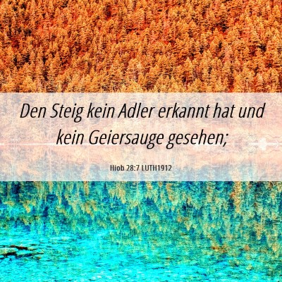 Picture 06 - Hiob 28:7 LUTH1912 - Den Steig kein Adler erkannt hat und kein - Bible Verse Picture
