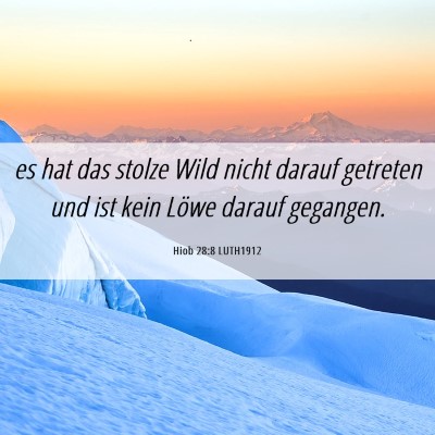 Picture 06 - Hiob 28:8 LUTH1912 - es hat das stolze Wild nicht darauf getreten und - Bible Verse Picture