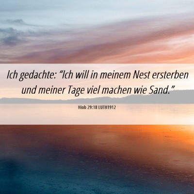 Picture 06 - Hiob 29:18 LUTH1912 - Ich gedachte: “Ich will in meinem Nest - Bible Verse Picture