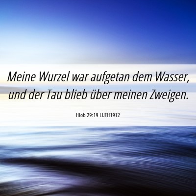 Picture 06 - Hiob 29:19 LUTH1912 - Meine Wurzel war aufgetan dem Wasser, und der Tau - Bible Verse Picture