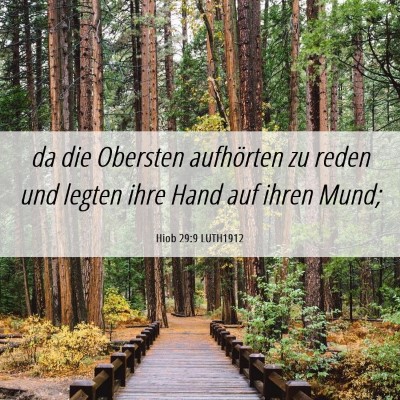 Picture 06 - Hiob 29:9 LUTH1912 - da die Obersten aufhörten zu reden und legten - Bible Verse Picture