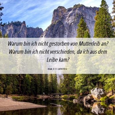 Picture 06 - Hiob 3:11 LUTH1912 - Warum bin ich nicht gestorben von Mutterleib an? - Bible Verse Picture