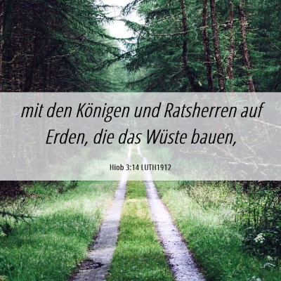 Picture 06 - Hiob 3:14 LUTH1912 - mit den Königen und Ratsherren auf Erden, die - Bible Verse Picture