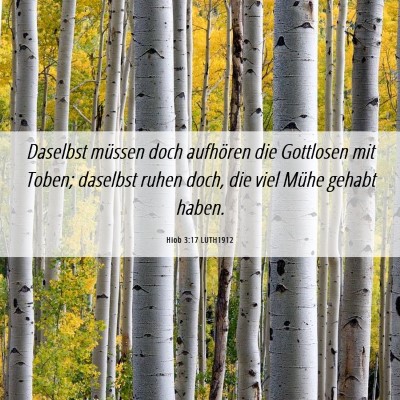 Picture 06 - Hiob 3:17 LUTH1912 - Daselbst müssen doch aufhören die Gottlosen mit - Bible Verse Picture