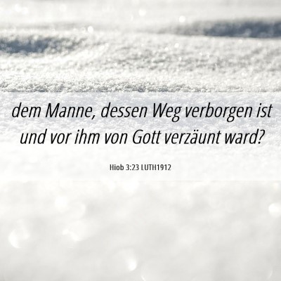 Picture 06 - Hiob 3:23 LUTH1912 - dem Manne, dessen Weg verborgen ist und vor ihm - Bible Verse Picture