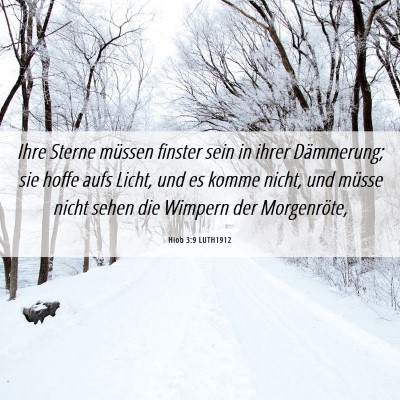Picture 06 - Hiob 3:9 LUTH1912 - Ihre Sterne müssen finster sein in ihrer - Bible Verse Picture
