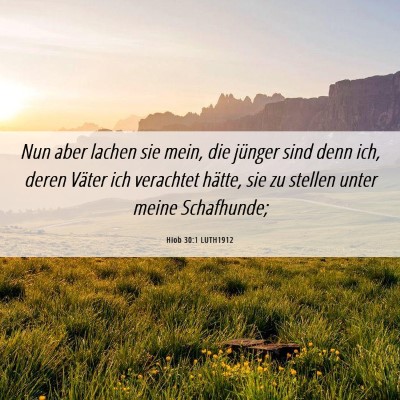 Picture 06 - Hiob 30:1 LUTH1912 - Nun aber lachen sie mein, die jünger sind denn - Bible Verse Picture