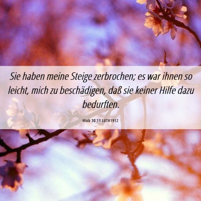 Picture 06 - Hiob 30:13 LUTH1912 - Sie haben meine Steige zerbrochen; es war ihnen - Bible Verse Picture