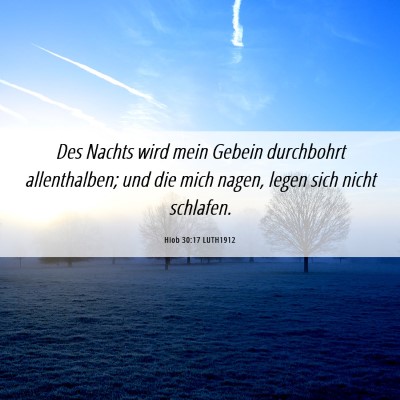 Picture 06 - Hiob 30:17 LUTH1912 - Des Nachts wird mein Gebein durchbohrt - Bible Verse Picture