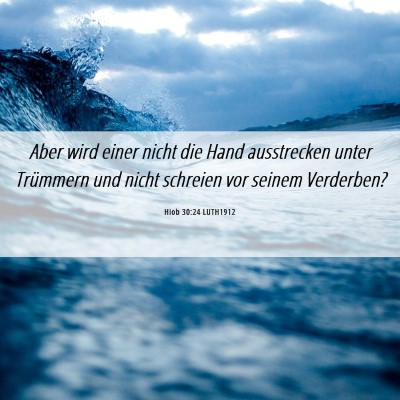 Picture 06 - Hiob 30:24 LUTH1912 - Aber wird einer nicht die Hand ausstrecken unter - Bible Verse Picture