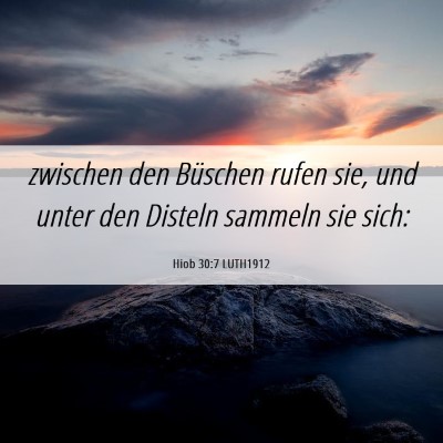 Picture 06 - Hiob 30:7 LUTH1912 - zwischen den Büschen rufen sie, und unter den - Bible Verse Picture