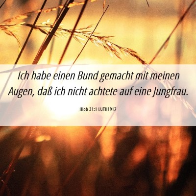 Picture 06 - Hiob 31:1 LUTH1912 - Ich habe einen Bund gemacht mit meinen Augen, - Bible Verse Picture