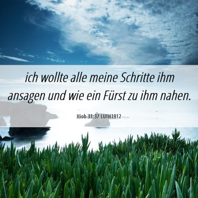Picture 06 - Hiob 31:37 LUTH1912 - ich wollte alle meine Schritte ihm ansagen und - Bible Verse Picture