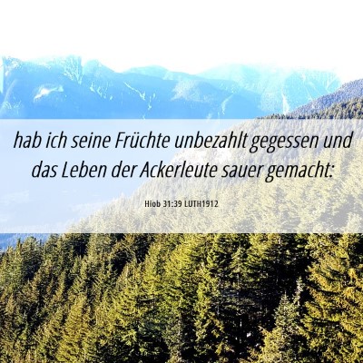 Picture 06 - Hiob 31:39 LUTH1912 - hab ich seine Früchte unbezahlt gegessen und das - Bible Verse Picture
