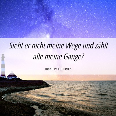 Picture 06 - Hiob 31:4 LUTH1912 - Sieht er nicht meine Wege und zählt alle meine - Bible Verse Picture
