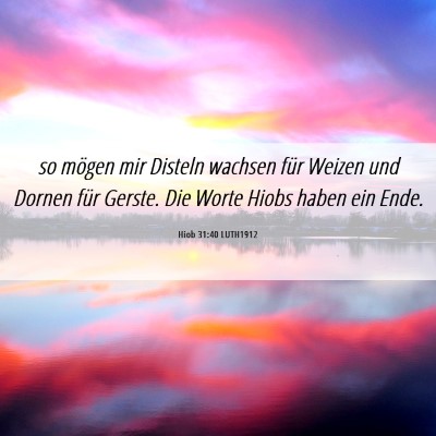 Picture 06 - Hiob 31:40 LUTH1912 - so mögen mir Disteln wachsen für Weizen und - Bible Verse Picture