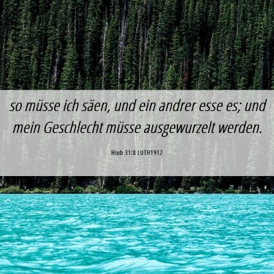 Picture 06 - Hiob 31:8 LUTH1912 - so müsse ich säen, und ein andrer esse es; und - Bible Verse Picture