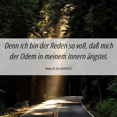 Picture 06 - Hiob 32:18 LUTH1912 - Denn ich bin der Reden so voll, daß mich der - Bible Verse Picture