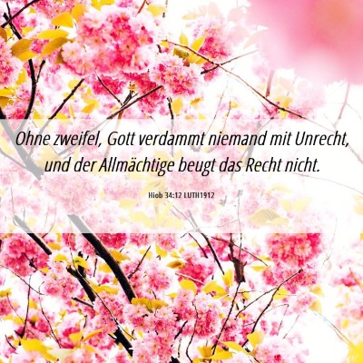Picture 06 - Hiob 34:12 LUTH1912 - Ohne zweifel, Gott verdammt niemand mit Unrecht, - Bible Verse Picture