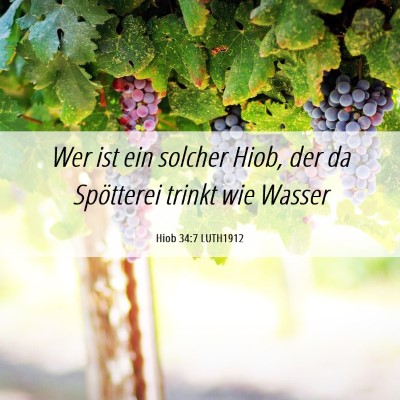 Picture 06 - Hiob 34:7 LUTH1912 - Wer ist ein solcher Hiob, der da Spötterei - Bible Verse Picture